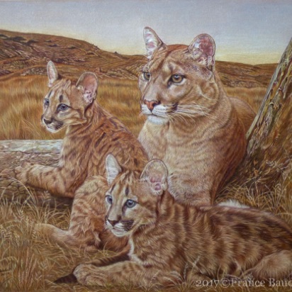 Watching you! - 111 hours
Brown Pastelmat Board
18.3" x 22.5"
Ref: My own photo Watching you! - 111 hours
Brown Pastelmat Board
18.3" x 22.5"
Ref: My own photo